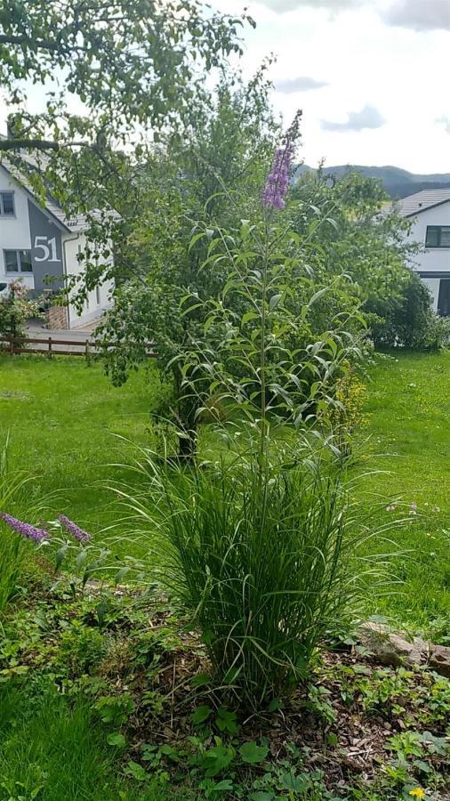 Ferienwohnung Vreni ゲルスフェルト エクステリア 写真